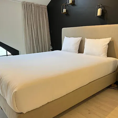 Penthouse With Airconditioning And Big Terrace, Close To Sint-pieters Station And Centre Lejlighed