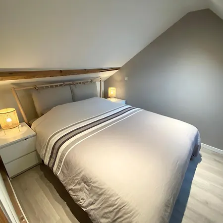 Lejlighed Penthouse With Airconditioning And Big Terrace, Close To Sint-pieters Station And Centre