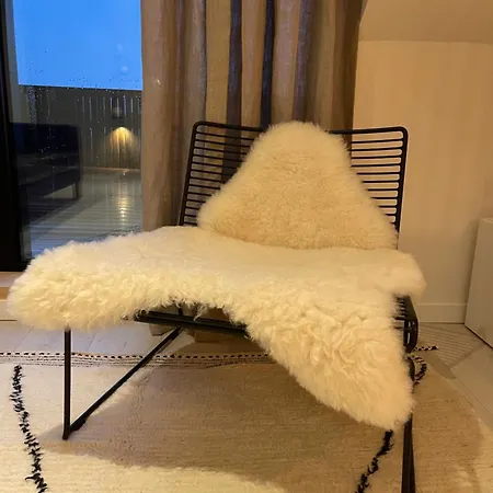 Lejlighed Penthouse With Airconditioning And Big Terrace, Close To Sint-pieters Station And Centre Gent